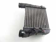 Ladeluftkühler Audi A4 (8E, B6) 8E0145805F