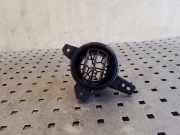 Ziergitter Honda Insight (ZE) 77620TM8A0