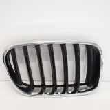 Kühlergrill rechts BMW X3 (F25) 72107267237422