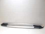 Dachreling links Citroen C4 I Picasso (U)