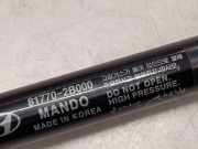Verkabelung der hinteren Abdeckung HYUNDAI SANTA FÉ II (CM) 2.2 CRDi 817702B000