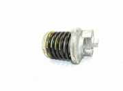 Generatorriemen des Spanners VW CRAFTER 30-35 Minibus / passenger (2E_) 2.0 TDI 950330 1006503