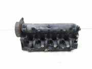 Motorkopf RENAULT SCÉNIC II (JM0/1_) 1.9 dCi (JM0G, JM12, JM1G, JM2C) FDP
