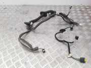 Kabel Tür vorne rechts RENAULT MEGANE III Grandtour (KZ0/1) 1.5 dCi (KZ1M, KZ1W) 241241649R