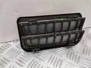 Ziergitter VW Passat B7 Alltrack (36, B7) 0904081037