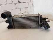 Ladeluftkühler PEUGEOT 607 (9D, 9U) 2.2 HDI 864223EG