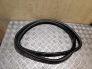 Türdichtung Volvo XC70 II (136)