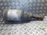 pneumatischer Stoßdämpfer hinten links