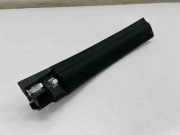 Innenschwellenzierleiste hinten links