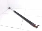 Heckklappe Gasdruckfeder links CHRYSLER VOYAGER / GRAND VOYAGER III (GS) 2.5 TD