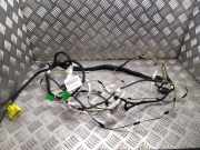 Kabelbaum Peugeot 308 I () 9665222180