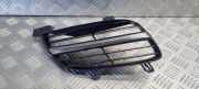 Gitter vorne unten NISSAN ALMERA II Hatchback (N16) 2.2 Di 62322BM400