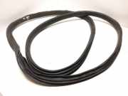 Türgummi links vorne Volvo XC60 II (246)