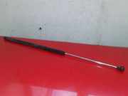 Heckklappe Gasdruckfeder links CITROËN BERLINGO (MF) 2.0 HDI 90 (MFRHY) 9625574380