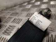 Sicherheitsgurt hinten links