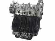 Basismotor RENAULT MEGANE II (BM0/1_, CM0/1_) 2.0 dCi (BM1K, CM1K) M9R700