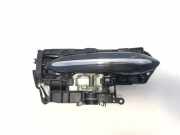Türaußengriff hinten links BMW 5 (F10) 530 d X3717564909