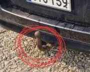 Anhängerkupplung Opel Zafira B (A05) 24453850