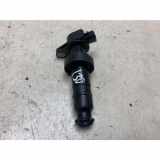 Hochspannungszündkabel (Steckkabel) HYUNDAI i30 (FD) 1.4 27301