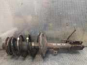 Stoßdämpfer vorne links LEXUS RX (MCU15) 300 AWD