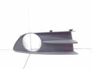 Gitter vorne unten RENAULT LAGUNA II Grandtour (KG0/1_) 1.9 dCI (KG0E) G000009745