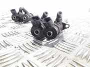 Düsenstöcke Fiat Scudo Kasten (270) 0445110311