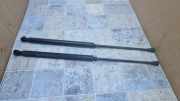 Heckklappe Gasdruckfeder links PEUGEOT 207 CC (WD_) 1.6 HDi 21025502 9650780480