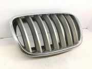 Gitter vorne unten BMW X5 (E70) xDrive 30 d 51137171396