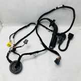 Kabel Tür Audi Q5 (8R) 8R0971029B