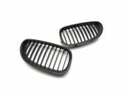 Gitter BMW 5 (E60) 530 d