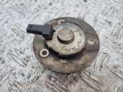 Einlassventil Audi A4 (8K, B8) 06J103259A