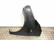 Kotflügel vorne links HYUNDAI i10 (PA) 1.2