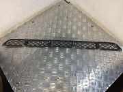 Gitter vorne unten TOYOTA RAV 4 II (_A2_) 2.0 D-4D 4WD (CLA20_, CLA21_)