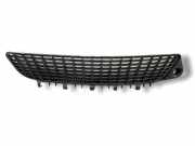 Gitter vorne unten OPEL VECTRA C GTS 1.9 CDTI 905500002