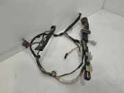Türverkabelung hinten links TOYOTA AVENSIS Estate (_T25_) 2.0 D-4D (CDT250_)