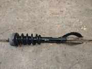 Stoßdämpfer vorne links BMW X5 (F15, F85) xDrive 40 d 31316851747 3131685174702