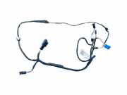 Kabel der vorderen linken Tür BMW X5 (F15, F85) xDrive 30 d 61129323378