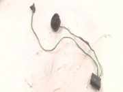 Türlautsprecher vorne rechts AUDI A3 (8L1) 1.9 TDI 8L0035399