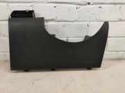 Armaturenbrett Verkleidung