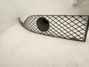 Kühlergrill unten Bentley Continental Cabriolet (3W) 3W3807668