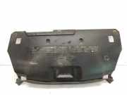Anzeigetafel Rahmen RENAULT LAGUNA III (BT0/1) 2.0 dCi (BT08, BT0K, BT0J, BT14, BT1A, BT1D) 620780001R