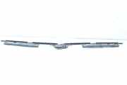 Zierleiste Windschutzscheibe Frontscheibe OPEL VIVARO Furgon (F7) 2.0 CDTI