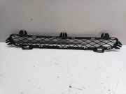 Gitter vorne unten BMW X3 (F25) xDrive 30 d 7210466