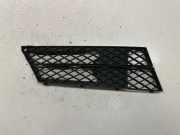 Kühlergrill unten BMW 5er (E60) 5111717811005