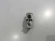 A/C Conditioner Expansion Valve MERCEDES-BENZ A (W177) A 200 (177.087) A2478307800