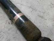 Stoßdämpfer hinten rechts