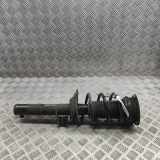 Stoßdämpfer vorne links VW T-ROC (A11) 1.5 TSI 5Q0413031HR