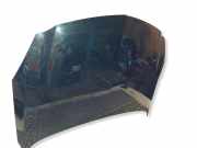 Motorhaube OPEL INSIGNIA A (G09) 2.0 CDTI (68)