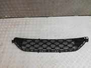 Kühlergrill unten Citroen C3 (FC) 9803502677