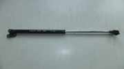 Heckklappe Gasdruckfeder links TOYOTA LAND CRUISER 100 (_J1_) 4.2 TD (HDJ100_)
